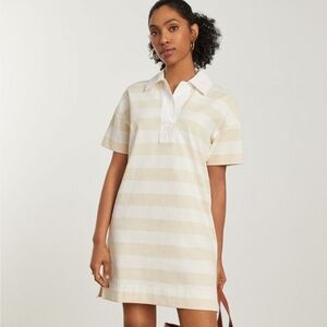 Everlane The Organic Cotton Striped Polo Dress